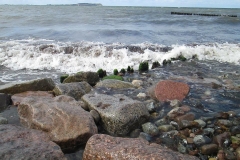 Wilde Ostsee 4