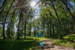 Friendesberg