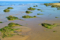Strand 1