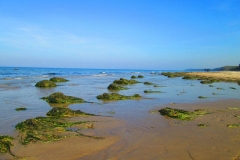 Strand 2