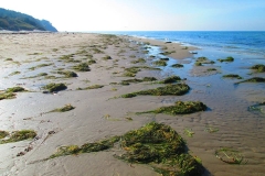 Strand 3