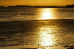 1-P1370826-001