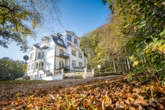 Villa Rex im Herbst