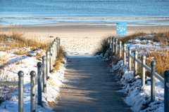 42-DSC_0485-001