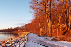 DSCF1908