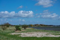 DSC_0283-001