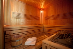 Sauna Villa Rex
